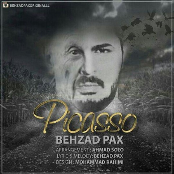 Behzad Pax Picasso 